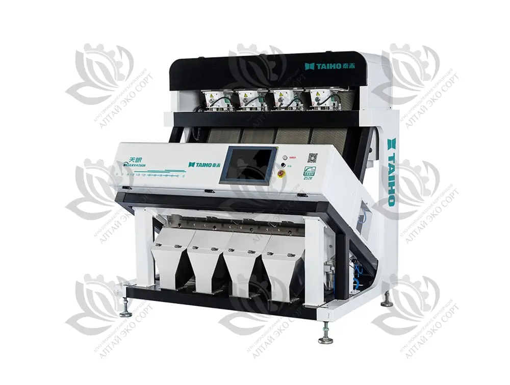 Observation 4 chutes