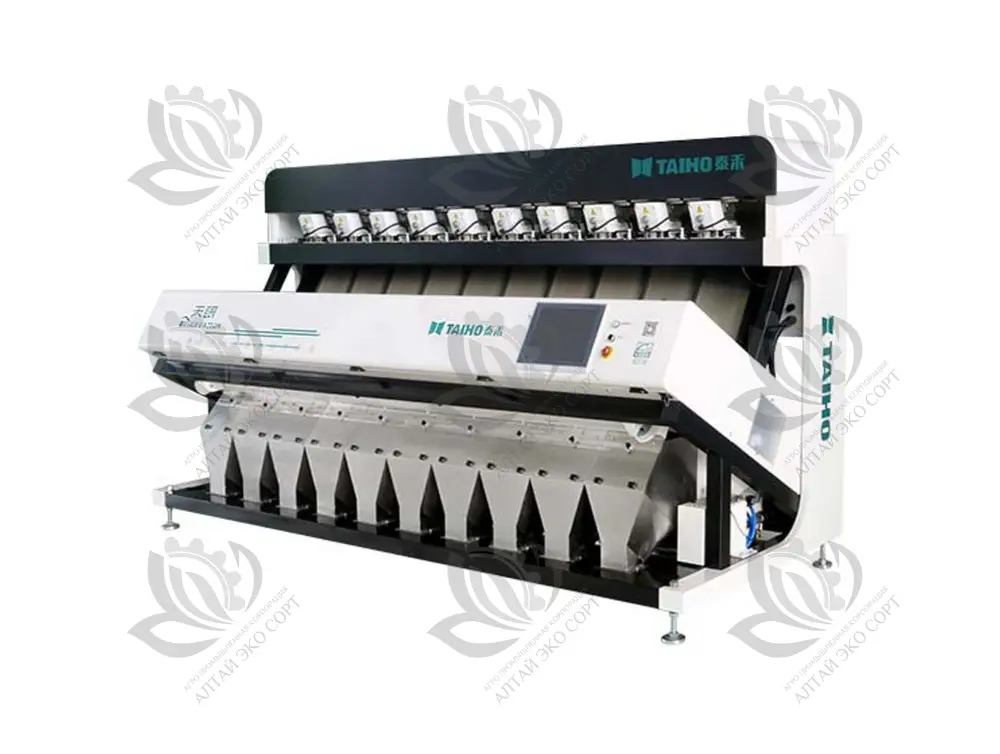 Observation 10 chutes