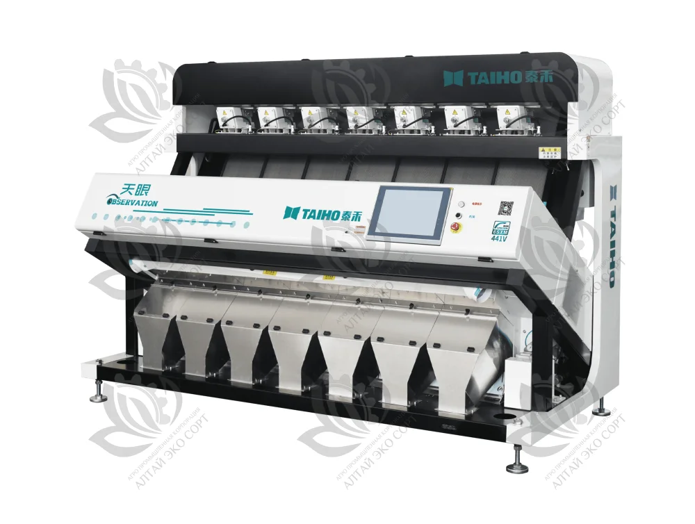 Observation 7 chutes