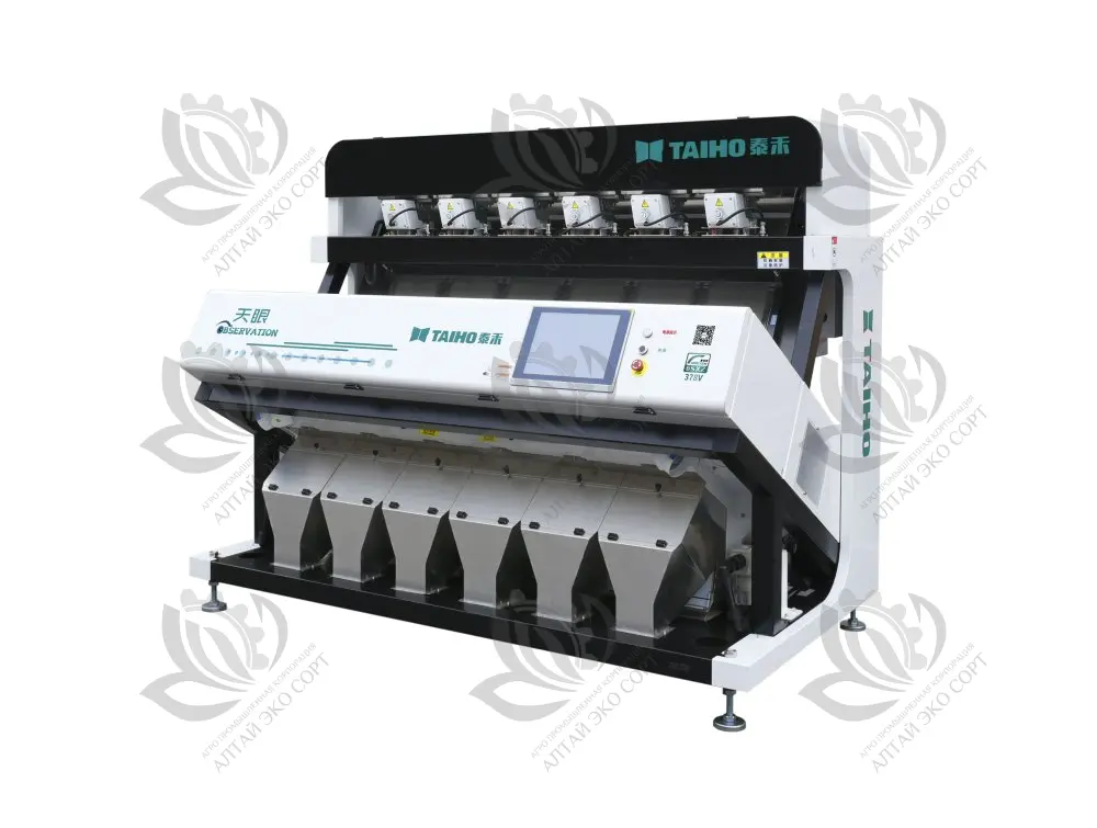 Observation 6 chutes